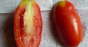 Почему у плодов томатов внутри белое